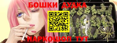 ALPHA PVP Лесосибирск