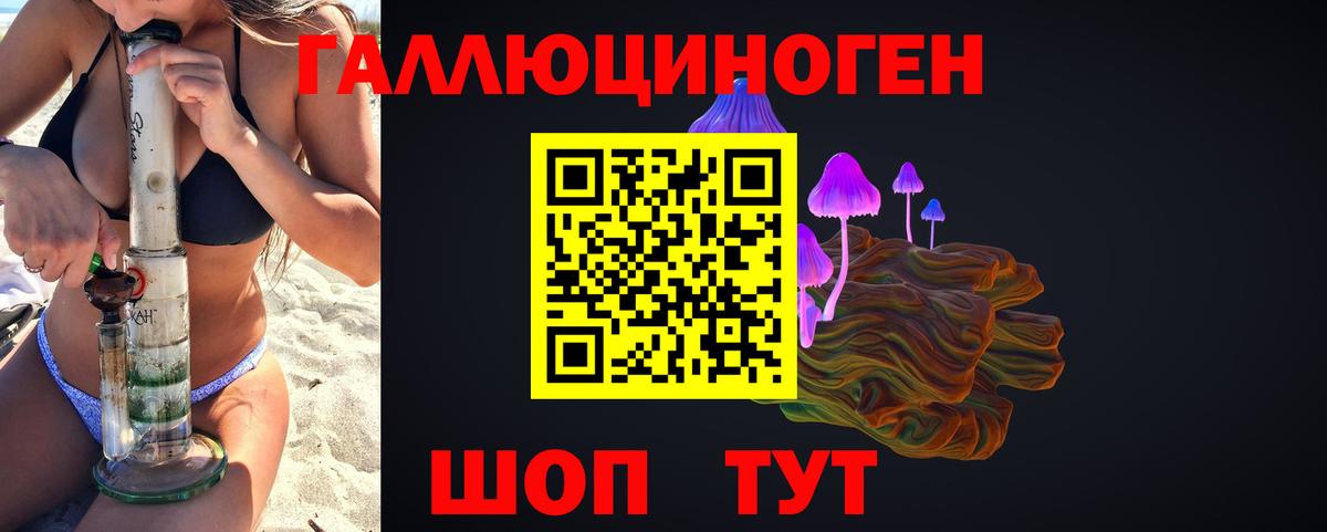 купить   Псилоцибиновые грибы GOLDEN TEACHER  Вход с VPN  Амурск 